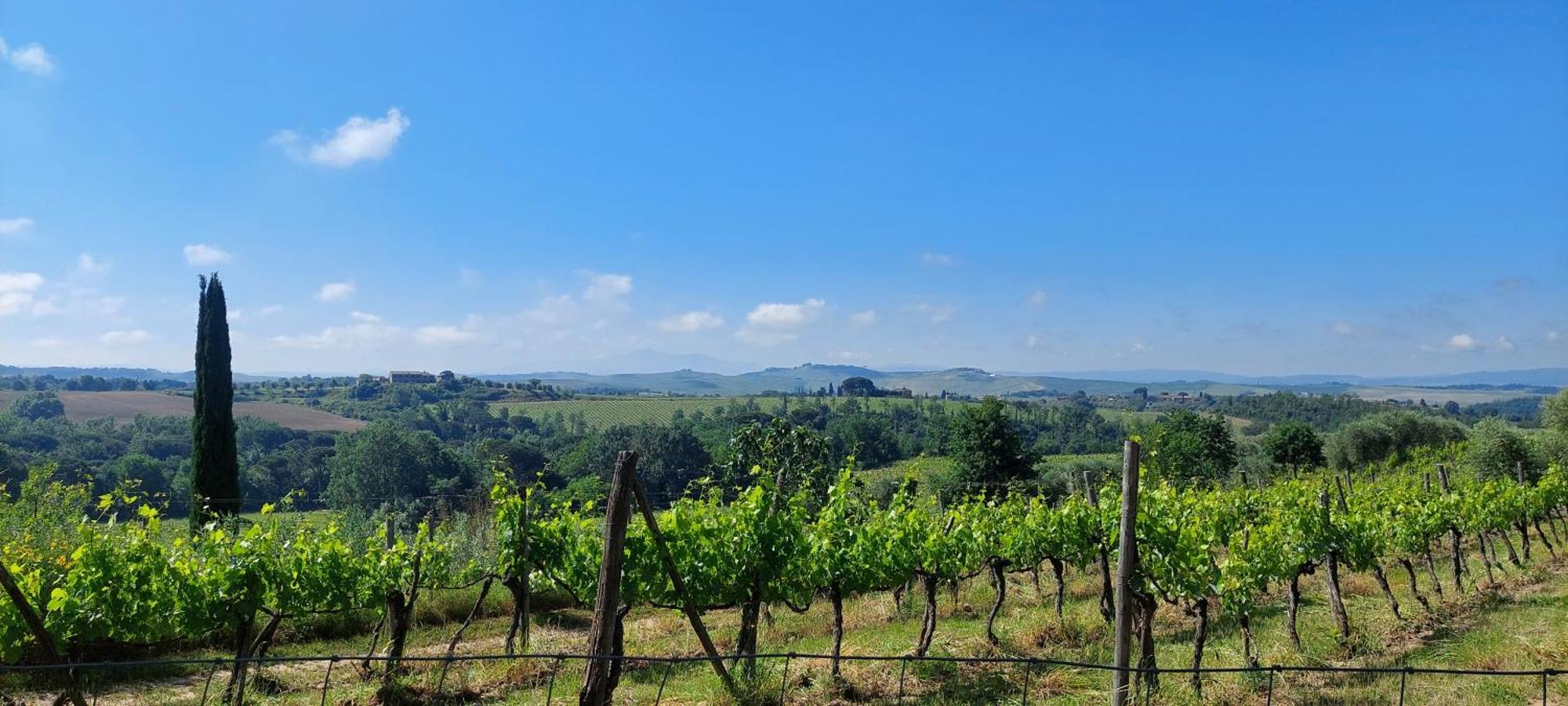 Chianti - Lovely Cottage With Parking & Garden! カステルヌオーヴォ・ベラルデンガ エクステリア 写真